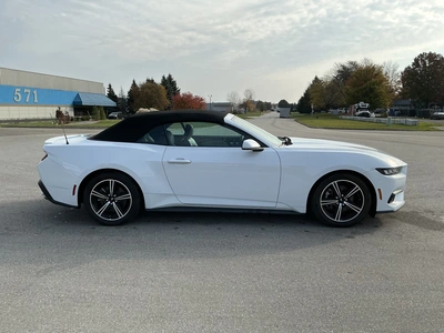 Used 2024 FORD MUSTANG Cars Michigan US | Miedema Asset Management Group #1579884