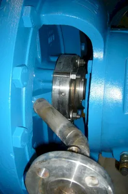 USED Goulds 3500