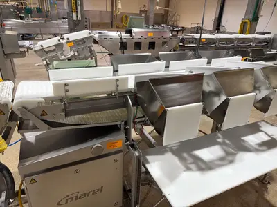 Used 2018 MAREL GR8211 Food Production Lines Illinois US | M&M Equipment Corp. #1336398