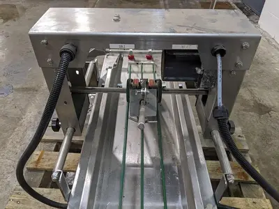 Infeed Conveyor for Pouch Filler