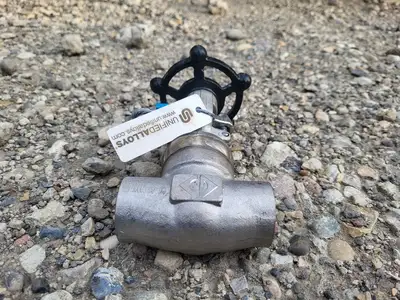 2019 3/4" Class 800 Gate Valve API 602
