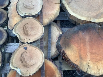Used _UNKNOWN_ _UNKNOWN_ Miscellaneous Woodworking Equipment Michigan US | Miedema Asset Management Group #1414870