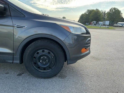 Used 2016 FORD ESCAPE SUVs Michigan US | Miedema Asset Management Group #1406841