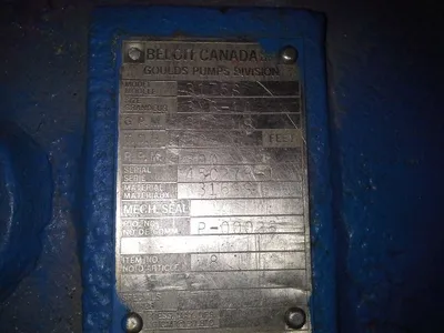 USED Goulds 3175