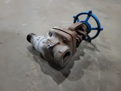 3/4" Class 800 Gate Valve B16.34