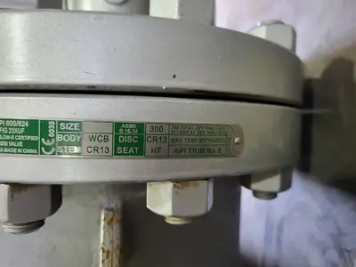 6" Class 300 Gate Valve B16.34