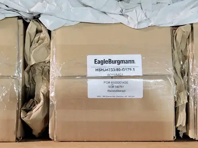 NEW EAGLE BURGMANN HSHJ42S3/80-G179.1