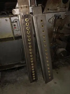 Werner Lehara 1- Meter Double Oven Line for Biscotti/Macaroons