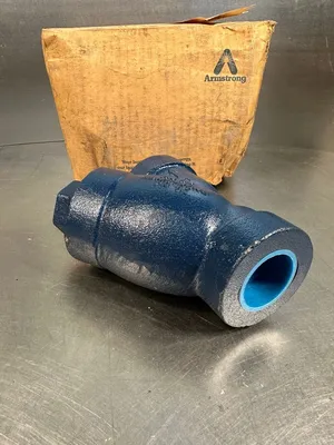 Armstrong DN 32 PN 16 1-1/4" NPT 250 Y-Strainer Valve (6D-12)