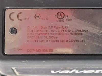 NEW TOPWORX DXP-M21GNEB