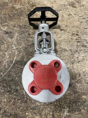 Marck 3/4” Stainless Steel Manual Flanged Gate Valve