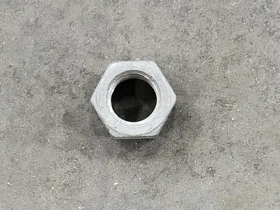 Hex Nut