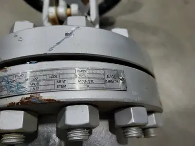 3" Class 300 Gate Valve API 600