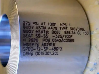 1" Class 150 Check Valve B16.34