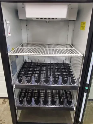 Imbera VR10 “BANG” 8.9 Cu. Ft. ￼115v Glass Door Merchandiser Tested and Working!