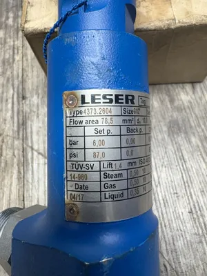 Used LESER 4373.2604 Pumps South Carolina US | ESS Industrial Equipment Sales #1307430