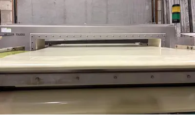 Used METTLER TOLEDO SIGNATURE TOUCH Metal Detectors Ontario CA | The Equipment Kings #1315270