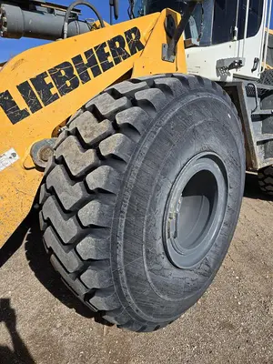 USED 2019 LIEBHERR L566
