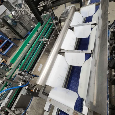 WEPACKIT AUTOMATIC CASE PACKER 700CP # 9691