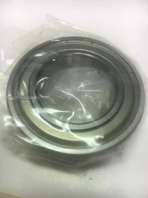 NEW NSK 6007ZZC3