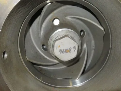 USED Goulds 3180
