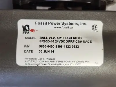 NEW FOSSIL POWER SYSTEMS 9650-0400-2106-1122-0522