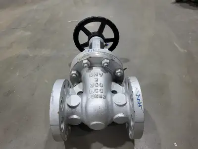 2" Class 300 Gate Valve B16.34