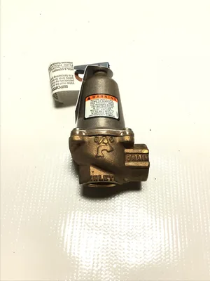 ITT Bell & Gossett 790-125 Pressure Relief Valve