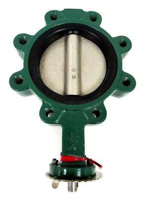 NEW MUELLER STEAM SPECIALTY 6-66MINI31 BUTTERFLY VALVE A4-6 666MINI31 66MINI3