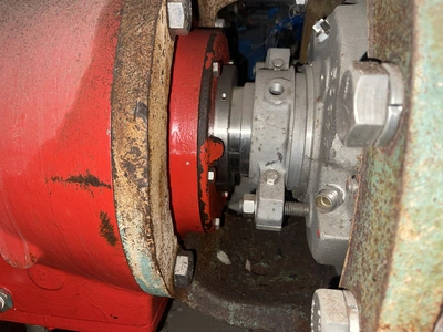 USED Goulds 3175
