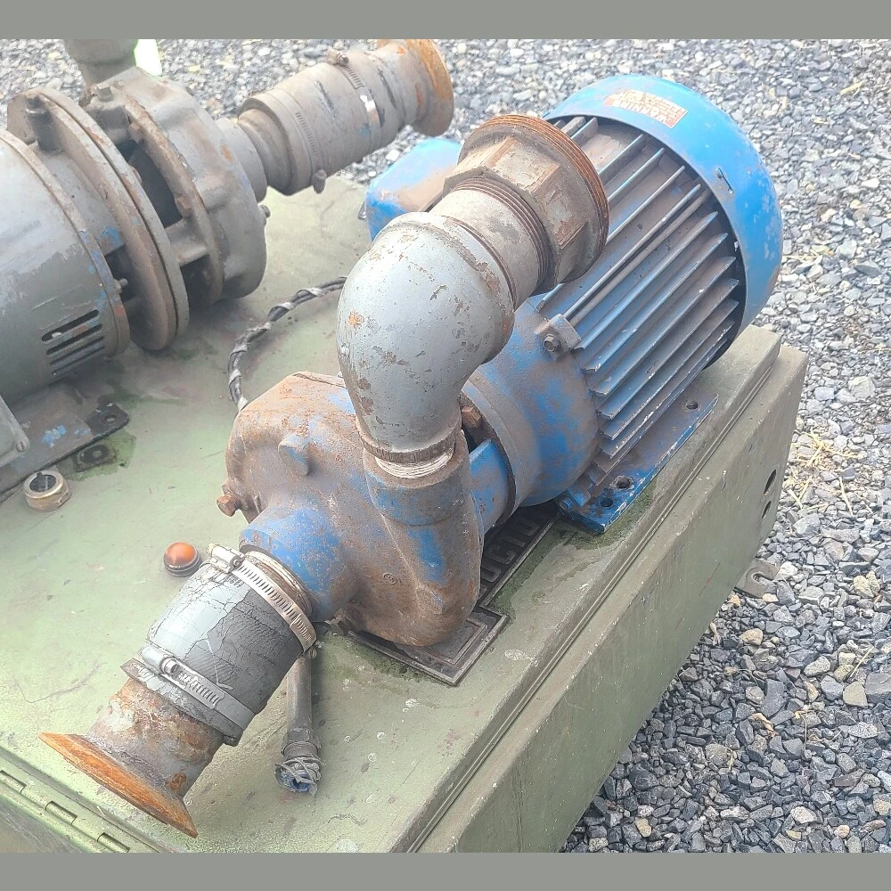 Used GOULDS PUMPS INC. 3656 Centrifugal Pumps British Columbia CA | Savona Equipment LTD #1486805
