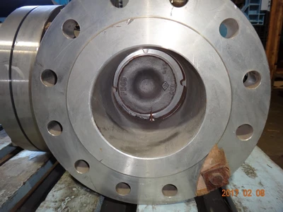 Takamisawa 6", Class 300, CF8, Gate Valve
