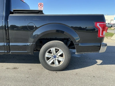 Used 2016 FORD F150 Pickup Trucks Michigan US | Miedema Asset Management Group #1568233