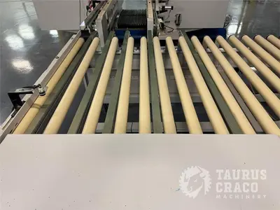 Used 2019 E-CHAIN ECT-48S ANGULAR DOUBLE END-TENONER LINE Woodworking Tenoners Ontario CA | Taurus Craco Machinery Inc #1314188