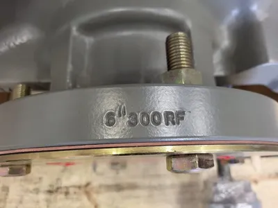 NEW FLOWSERVE 4HPX11A