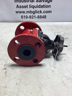 Hills McCanna 2″ Flanged Diaphragm Valve; 2509