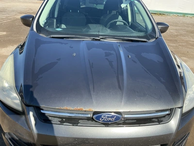 Used 2016 FORD ESCAPE SUVs Michigan US | Miedema Asset Management Group #1468592