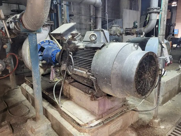 Used GOULDS 3175L Parts (Hydraulics and Pneumatics) British Columbia CA | Lenmark #279599