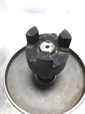 Leeson CZ6T17VC30A Washguard Stainless Steel Duck Electric Motor 3 Phase