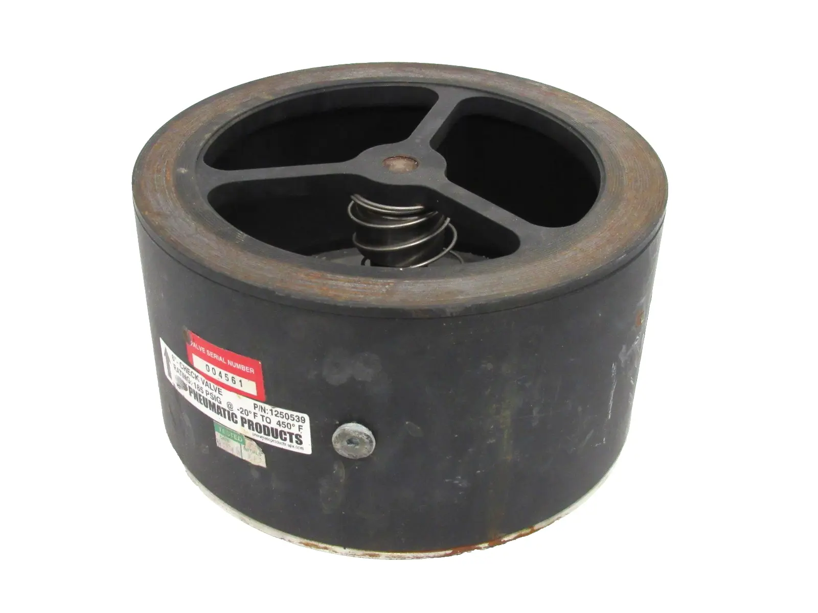 NEW PNEUMATIC PRODUCTS 1250539 CHECK VALVE 6"