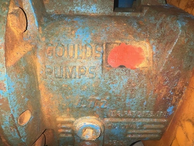 USED Goulds 3196LTi