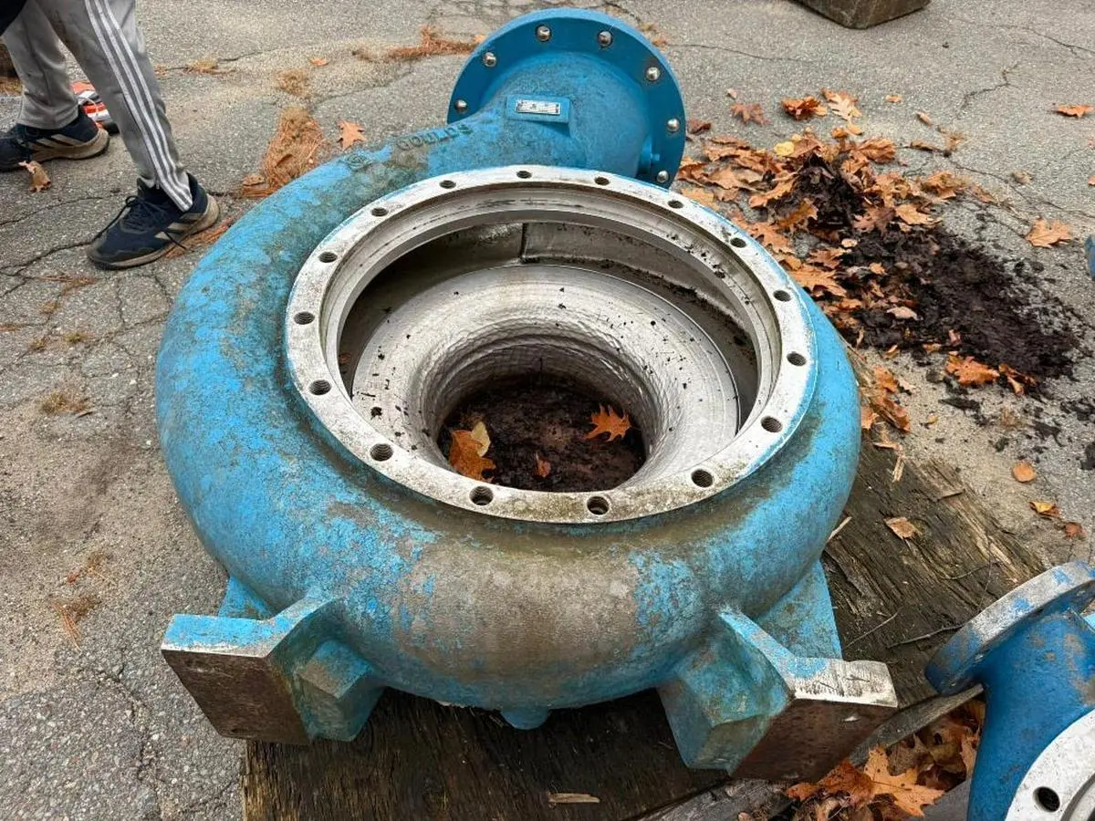 USED GOULDS 3175