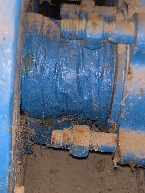 USED Goulds 3196
