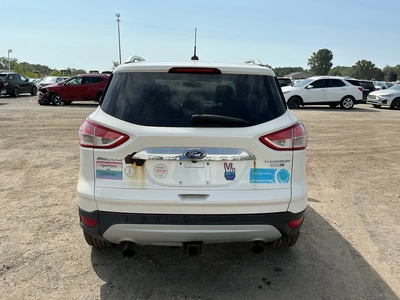 Used 2014 FORD ESCAPE SUVs Michigan US | Miedema Asset Management Group #1414602