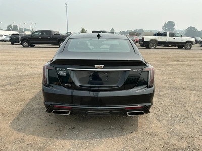 Used 2021 CADILLAC CT5 Sedans Michigan US | Miedema Asset Management Group #1313928
