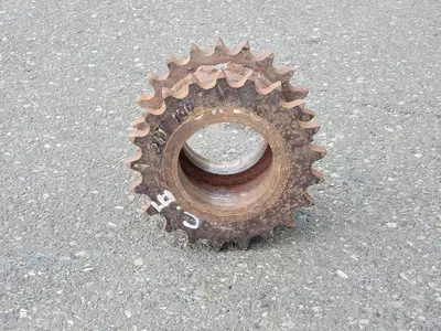 Roller Chain Sprocket DS100C21, Double Single