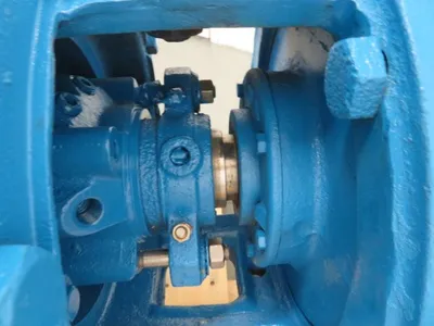 USED Goulds 3175