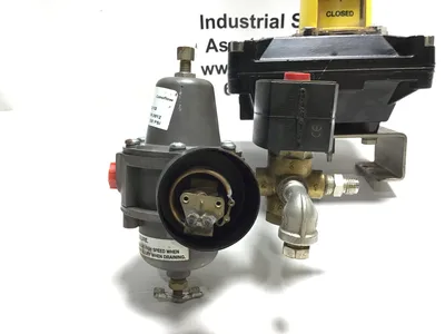 Westlock Controls Quantum Control Monitor with Pneumatic Actuator & Solenoid Valve