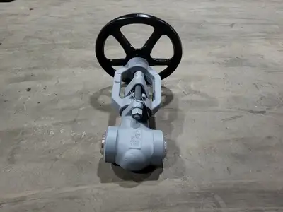 2" Class 900 Globe Valve B16.34