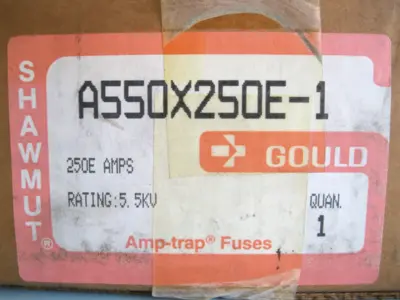 NEW Gould Shawmut A550X250E-1